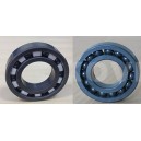 Full ceramic bearing of SiC material