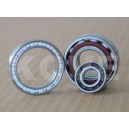 Ceramic hybrid ball bearings